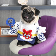 Pets turned into cat clothes for dogs