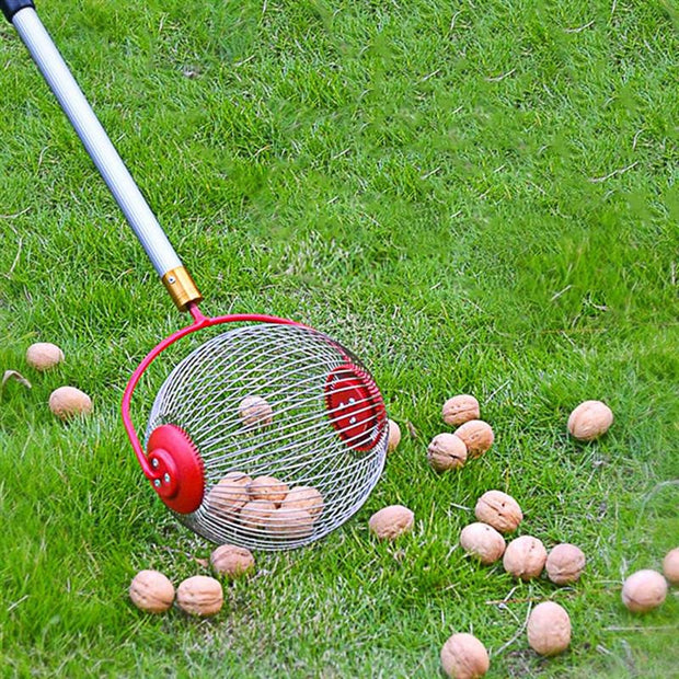 Garden Tools Picking Up Walnuts And Chestnuts